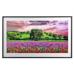 QW-53008 (25) 50*1.5*30см. Картина "Цветочное поле" с эффектом 3D 