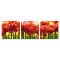 SH-17047 (4) 50*50/50*150*2,5см Модульная картина горизонтальная из трех частей "Красные тюльпаны"